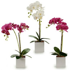 Pianta Decorativa Orchidea 18 x 47 x 14 cm Plastica (6 Unità)