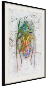 Poster  Iridescent Insect  Cornice Quadri Cornice nera con pass-partout, Larghezza x Altezza Home decor 20x30