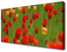 Quadro su tela Tulipani Pianta 100x50 cm