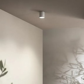 Plafoniera per esterni JUBO in alluminio Silver con diffusore in vetro D9 cm