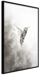 Poster  Hummingbird in Shades of Grey  Cornice Quadri Cornice nera, Larghezza x Altezza Home decor 20x30