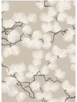 Sandberg Carta da parati Pine - Beige