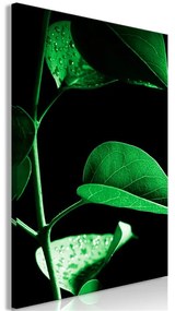 Quadro Plant in Black (1 Part) Vertical  Colore Verde, Dimensioni e Misure 40x60