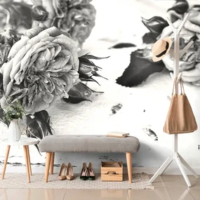 Carta da parati – Rose bianco e nero in fiore