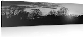 Stampa su tela – Splendido tramonto in bianco e nero