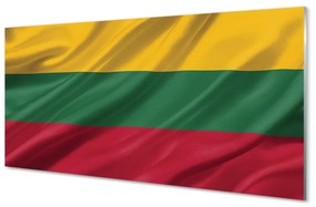 Quadro acrilico Bandiera lituana 100x50 cm