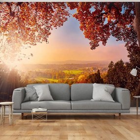 Fotomurale  Autumn Delight  Larghezza x Altezza Home decor 250x175