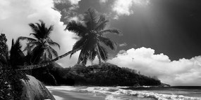 Quadro su tela – Spiaggia stupenda sull'isola delle Seychelles in bianco e nero