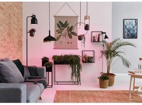 Paulmann 79749 - 1xGU10/20W Lampadario su filo FANJA 230V