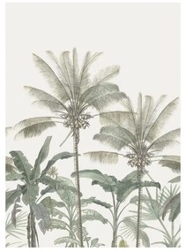 Fotomurale Palme, beige