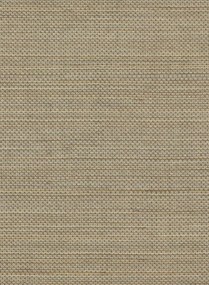 Élitis Carta da parati Pur Abaca - RM 1071 05