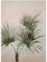 Eijffinger Carta da parati Palm Ombre - Grau Grün