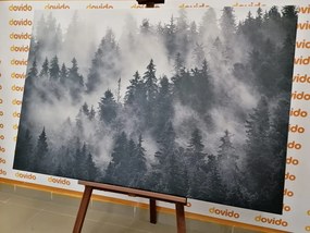 Stampa su tela – Montagne nella nebbia in bianco e nero
