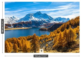 Carta da parati Lago Alpi 104x70 cm