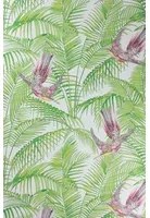 Matthew Williamson Carta da parati Sunbird - Ruby/ Kiwi
