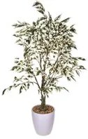 Ficus Artificiale con Vaso Altezza 70 cm