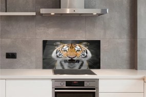Pannello paraschizzi cucina Tigre 100x50 cm