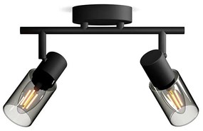 Philips - Faretto PALMS 2xE14/25W/230V