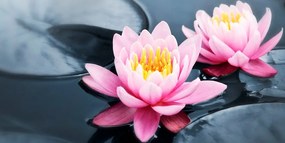 Quadro su tela – Fiore di loto nel lago