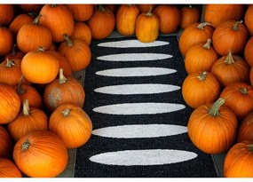 Passatoia da interno/esterno nera 70x300 cm Ella Black – Pappelina