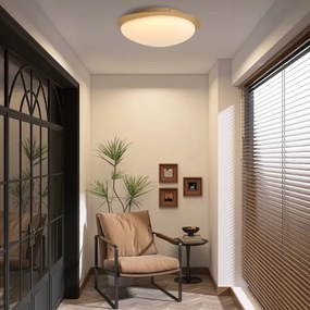 Brilagi - Plafoniera LED VISBY WOOD LED/18W/230V Ø 38 cm marrone