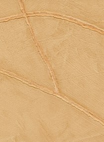 Élitis Carta da parati Kintsugi - VP 1004 12