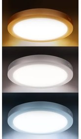 Solight WD242-W - Pannello LED 2 in 1 18W/230V 3000/4000/6000K Ø 22,5 cm IP54 bianco