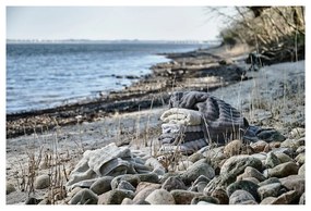 Telo da bagno in cotone crema 70x140 cm Inu - Zone