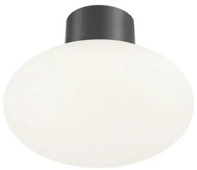 Ideal Lux - Plafoniera esterna CLIO 1xE27/42W/230V IP44 antracite