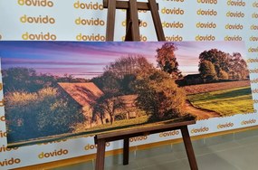 Stampa su tela – Paesaggio rurale
