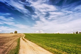 Carta da parati – Paesaggio incantevole