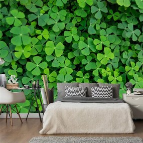 Fotomurale  Green Clover  Colore Verde, Dimensioni e Misure 100x70