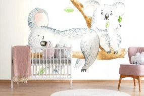 Carta da parati – Koala carini