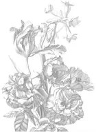 KEK Amsterdam Carta da parati panoramica Engraved Flowers 4 - M