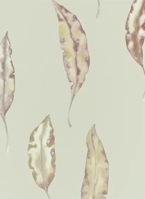 Harlequin Kinina - Mandarin/ Fig
