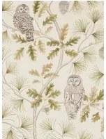 Eulen Tapete Owlswick von Sanderson - Briarwood