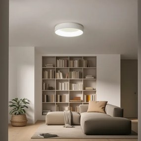 Brilagi - Plafoniera LED dimmerabile FALCON LED/80W/230V 3000-6500K + tc