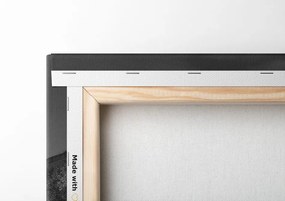 Quadro su tela – Panorama abbagliante di Parigi in bianco e nero