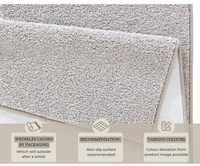 Tappeto grigio chiaro , 200 x 300 cm Pure - Hanse Home