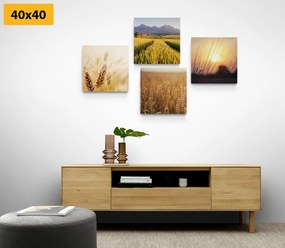 Set di quadri – Incanto della natura