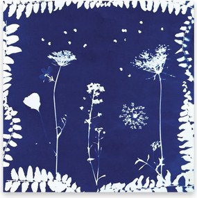 Atelier per bambini XXL - Erbario - 6 creazioni con fiori da essiccare