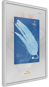 Poster Alga Cyanotype