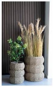 Pianta artificiale Skimmia - House Nordic