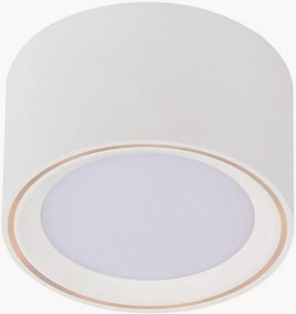 Faretto da soffitto a LED
