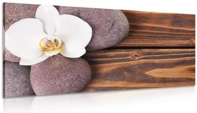 Stampa su tela – Pietre per il benessere e orchidea su sfondo di legno