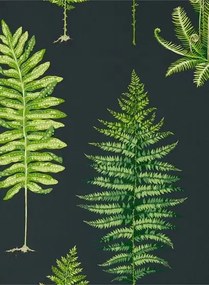 Tapete Fernery von Sanderson - Botanical Green/ Charcoal