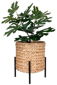 Vaso per giacinto d'acqua ø 26,5 cm Antas - House Nordic