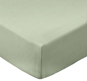 Lenzuolo con angoli verde in percalle di cotone 90x190 cm Cotton Percale – Bianca