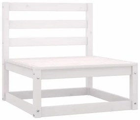 Set Divani da Giardino 10 pz con Cuscini Legno Massello di Pino