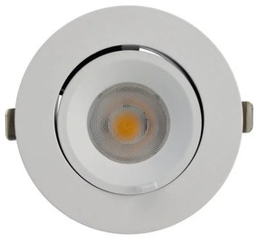 Faro LED da Incasso 15W Orientabile foro Ø100mm con driver Philips Colore Bianco Caldo 3.000K